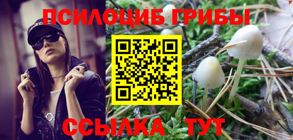 Галлюциногенные грибы Cubensis Черняховск