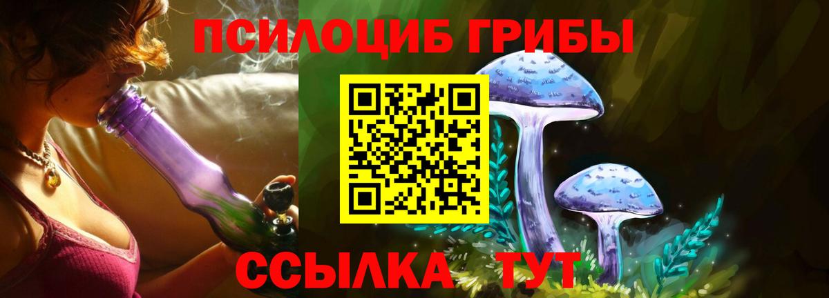 Черняховск  Псилоцибиновые грибы прущие грибы  Вход с VPN  Галлюциногенные грибы мицелий 